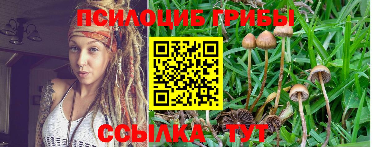 Галлюциногенные грибы MAGIC MUSHROOMS  наркошоп  Усинск  Вход с VPN 